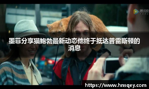 实时比分